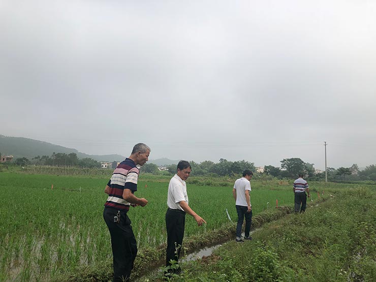 �����á�fun88(�й���) - �ٷ���վ