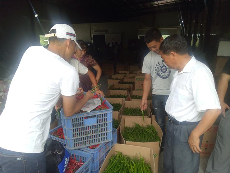 �����á�fun88(�й���) - �ٷ���վ