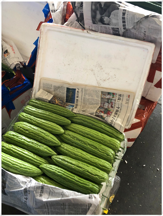 �����á�fun88(�й���) - �ٷ���վ