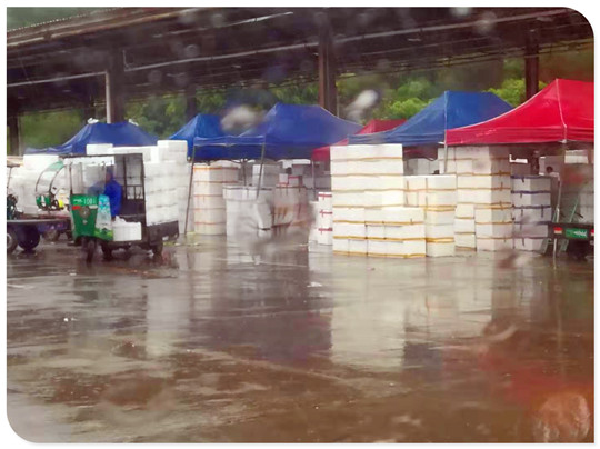 �����á�fun88(�й���) - �ٷ���վ