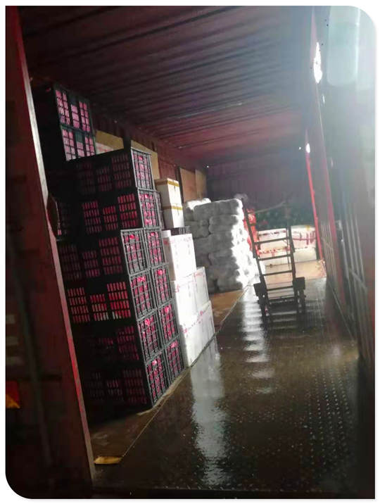 �����á�fun88(�й���) - �ٷ���վ