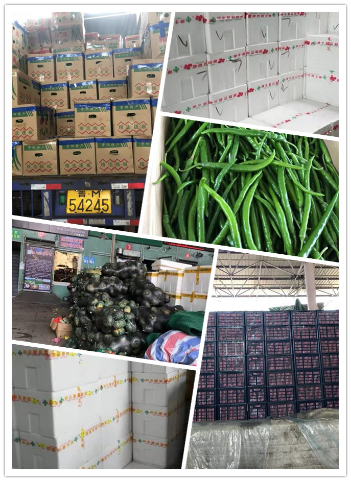 �����á�fun88(�й���) - �ٷ���վ