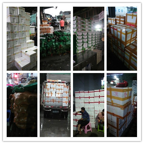 �����á�fun88(�й���) - �ٷ���վ