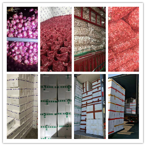 �����á�fun88(�й���) - �ٷ���վ