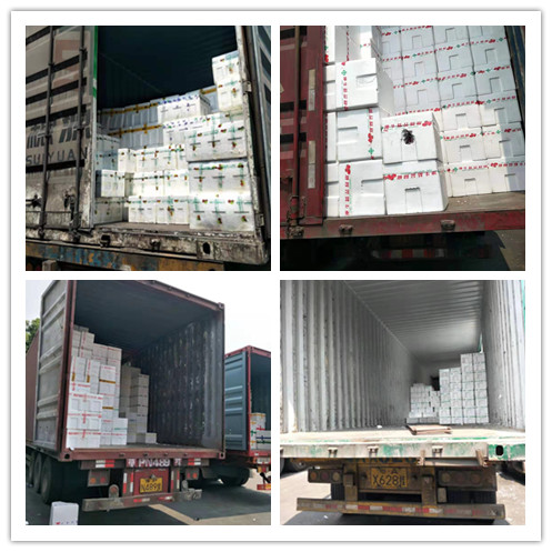 �����á�fun88(�й���) - �ٷ���վ