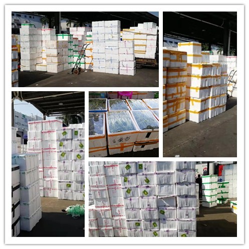 �����á�fun88(�й���) - �ٷ���վ