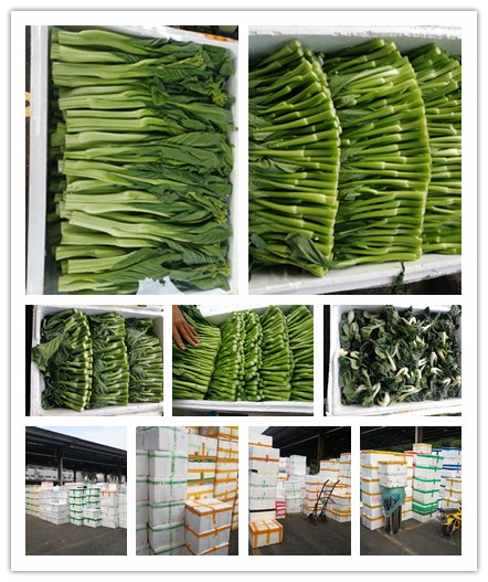 �����á�fun88(�й���) - �ٷ���վ