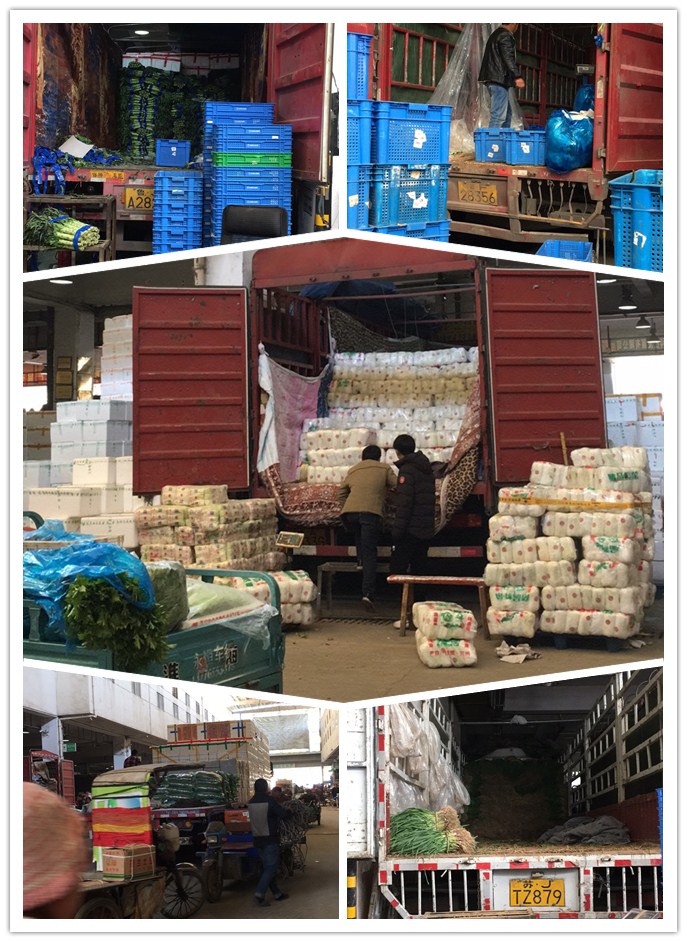 �����á�fun88(�й���) - �ٷ���վ