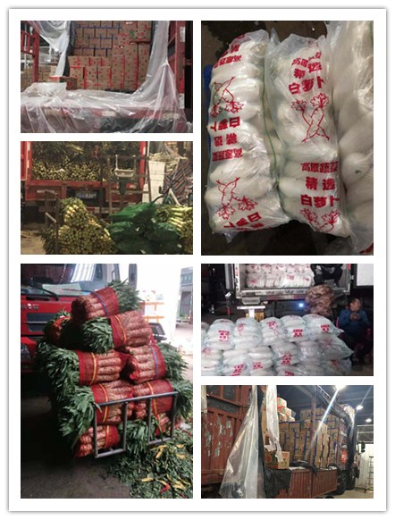 �����á�fun88(�й���) - �ٷ���վ