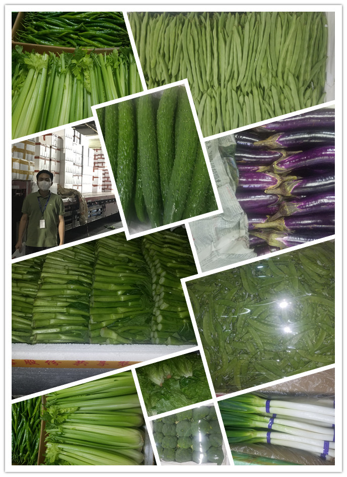 �����á�fun88(�й���) - �ٷ���վ