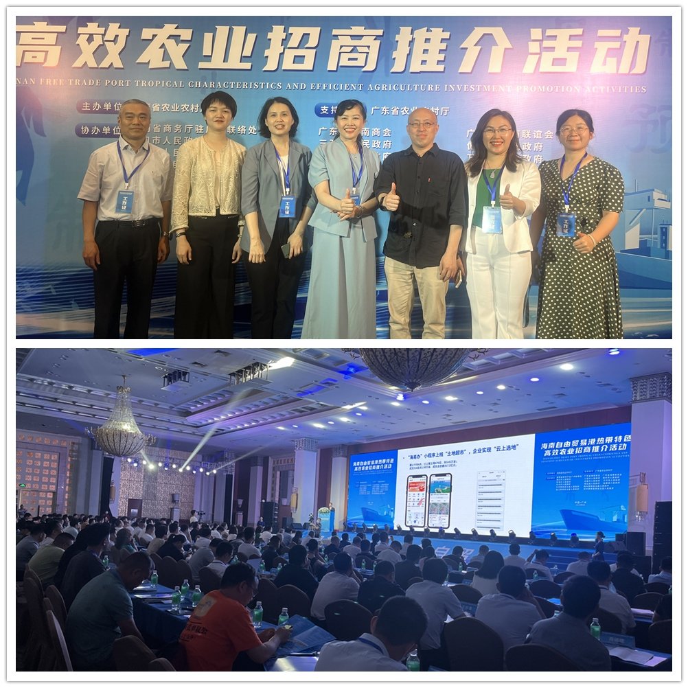 1-230619151515553 乐天堂·fun88(中国区) - 官方网站
