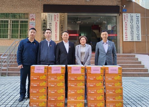 �ᶨ�����������������ٷ�չ