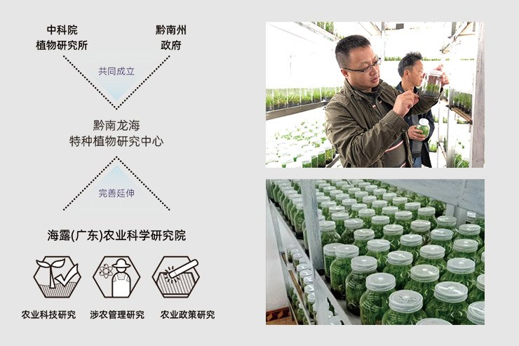 �����á�fun88(�й���) - �ٷ���վ