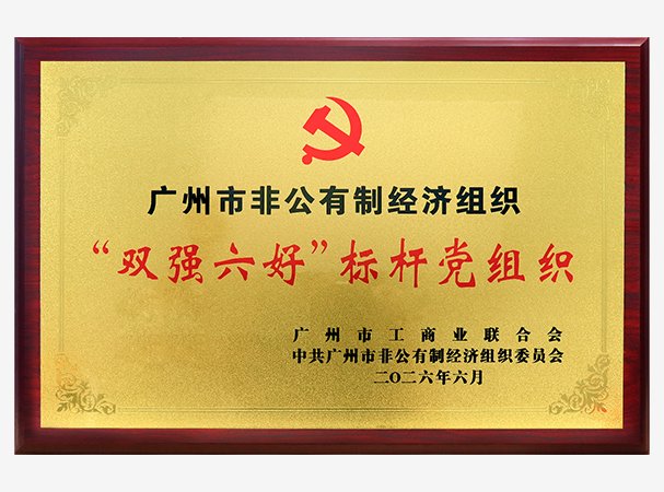 ���ŵ�֧��½�����걻��Ϊ�зǹ�������֯��˫ǿ���á���˵���֯
